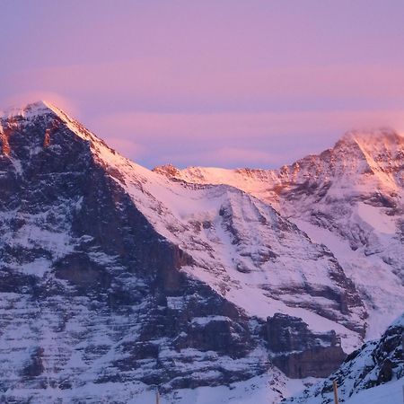 Berghaus Maennlichen Grindelwald Exterior foto